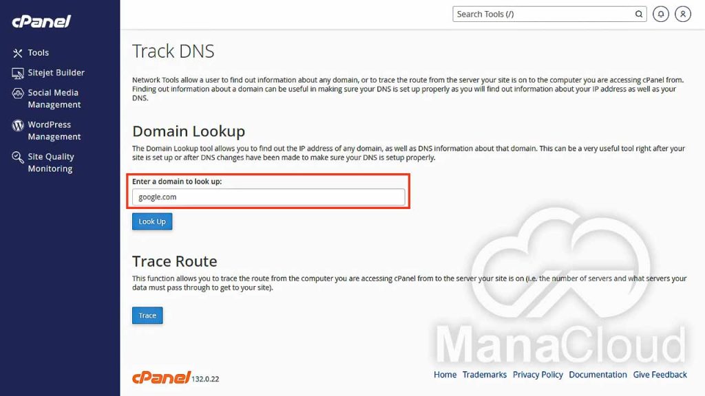 بخش Enter a domain to look up